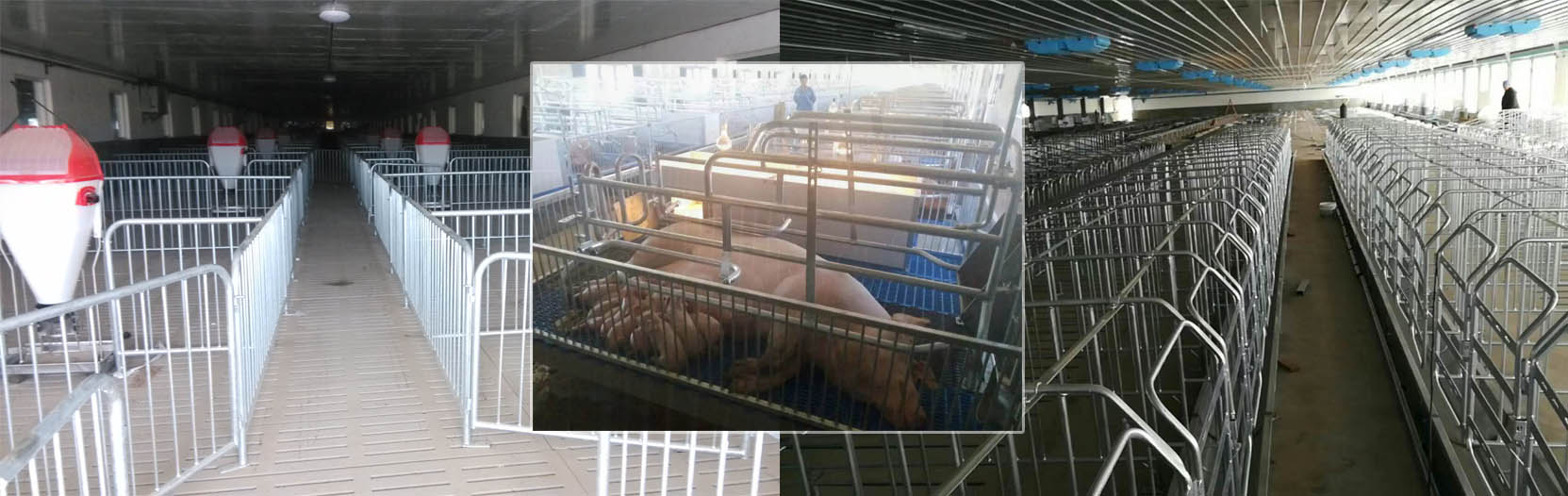 ������|���Q(m��o)���޹�˾�Q��ʽ��̽�y(c��)��